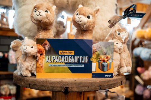 Alpaca Vorstenbosch — photo 5