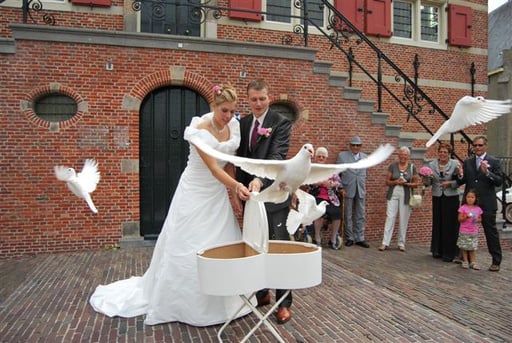 Het Bruidsduifje — photo 3
