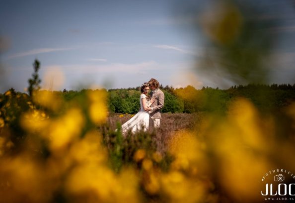Jloo fotografie — photo 3