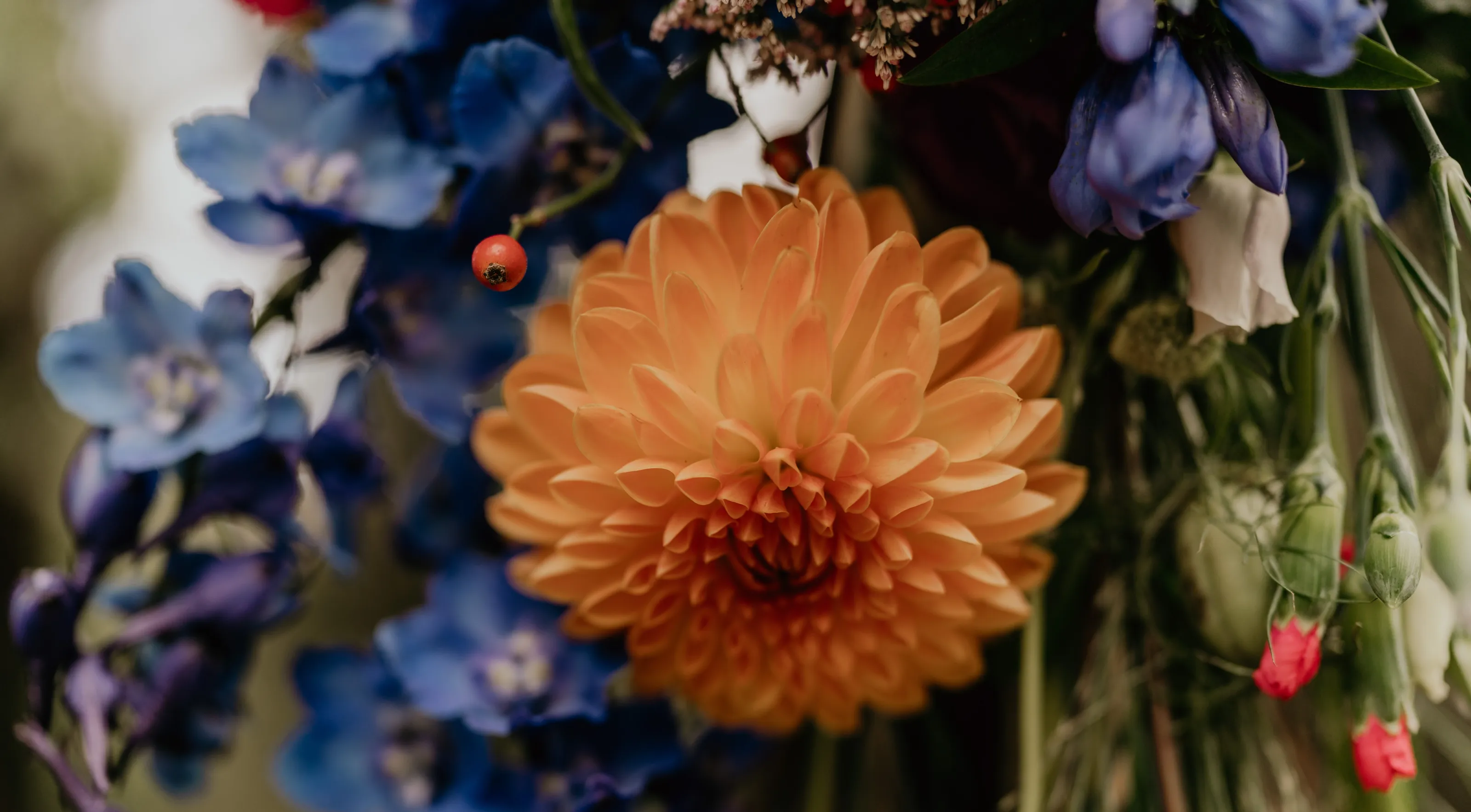 Eline van Bloemendaal — foto 3