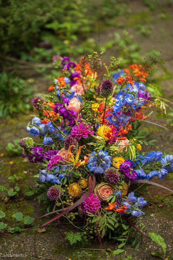 Distel en Mirt — photo 4
