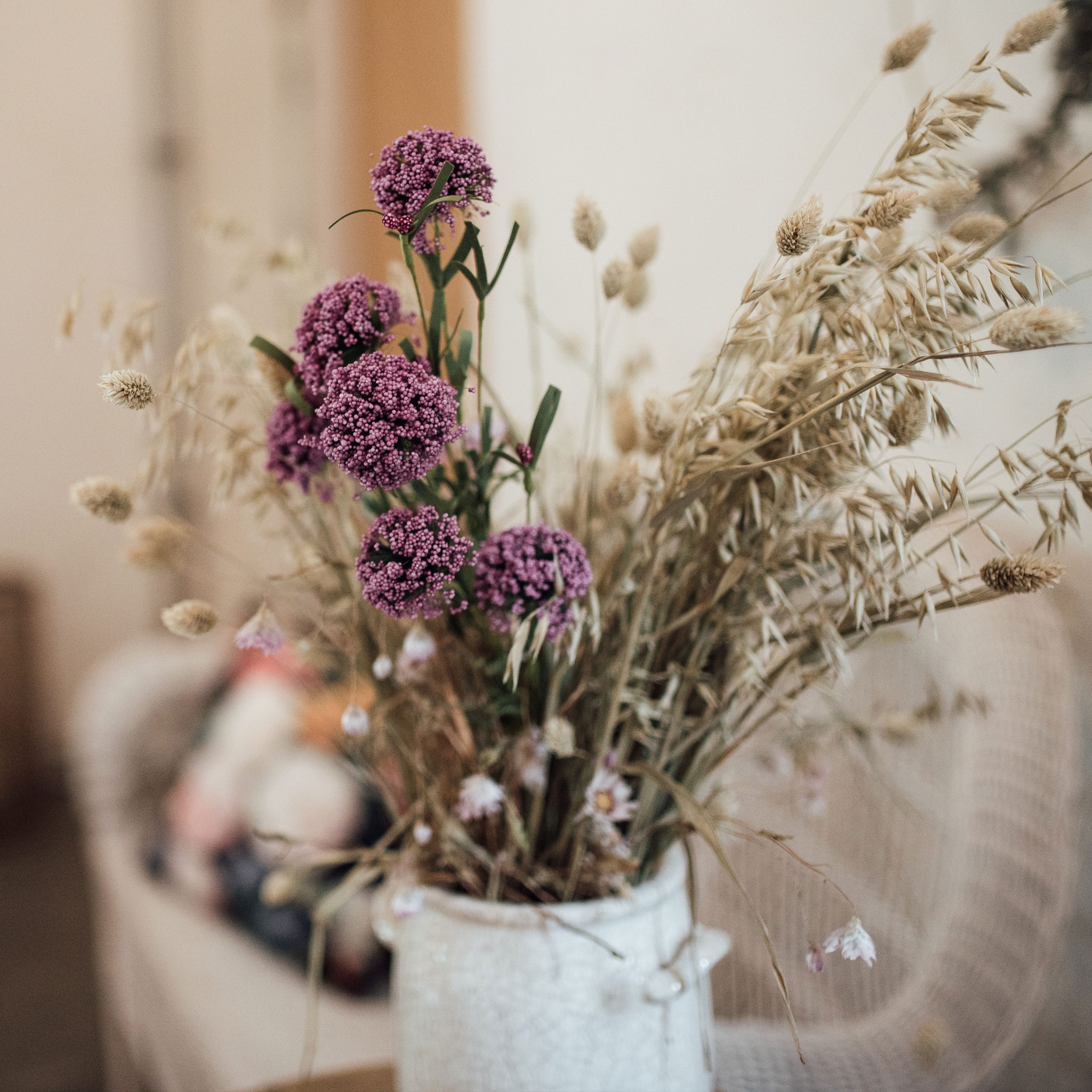 Patricia Stello Fotografie — foto 4