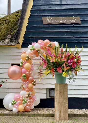 Gooise Ballonnen — photo 2