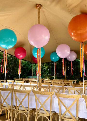 Gooise Ballonnen — photo 3