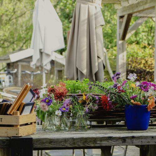 Theeschenkerij de Proeftuin/ Proef de Tuin — foto 2