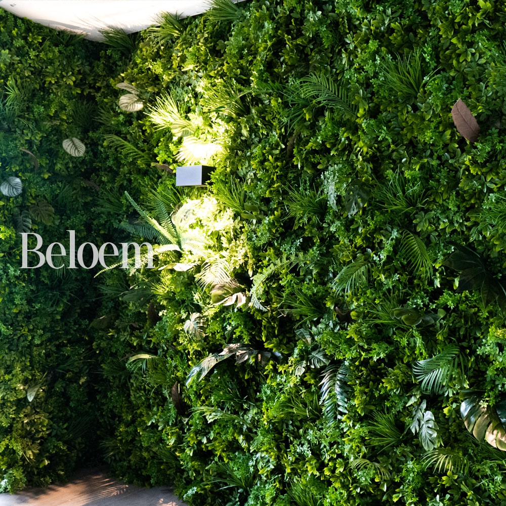 Beloem — photo 2