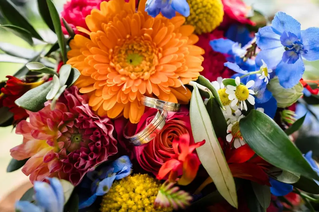 Geertje Vierhout Fotografie — photo 2