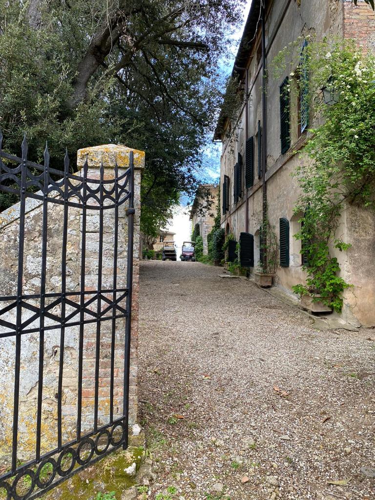 Sposare Sophie — photo 3