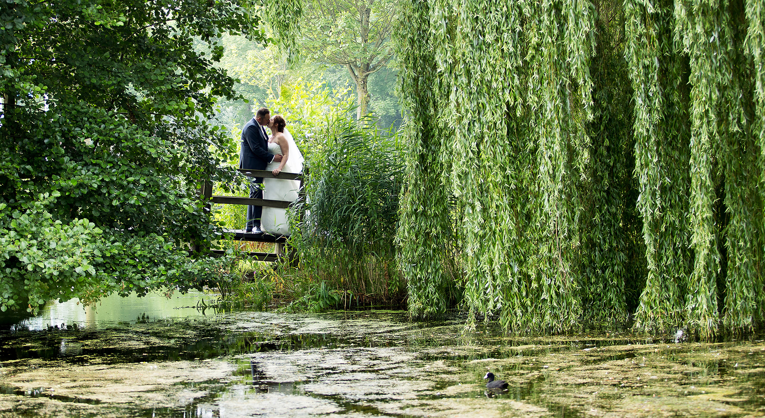 Patricia Pietersen Photography — photo 2