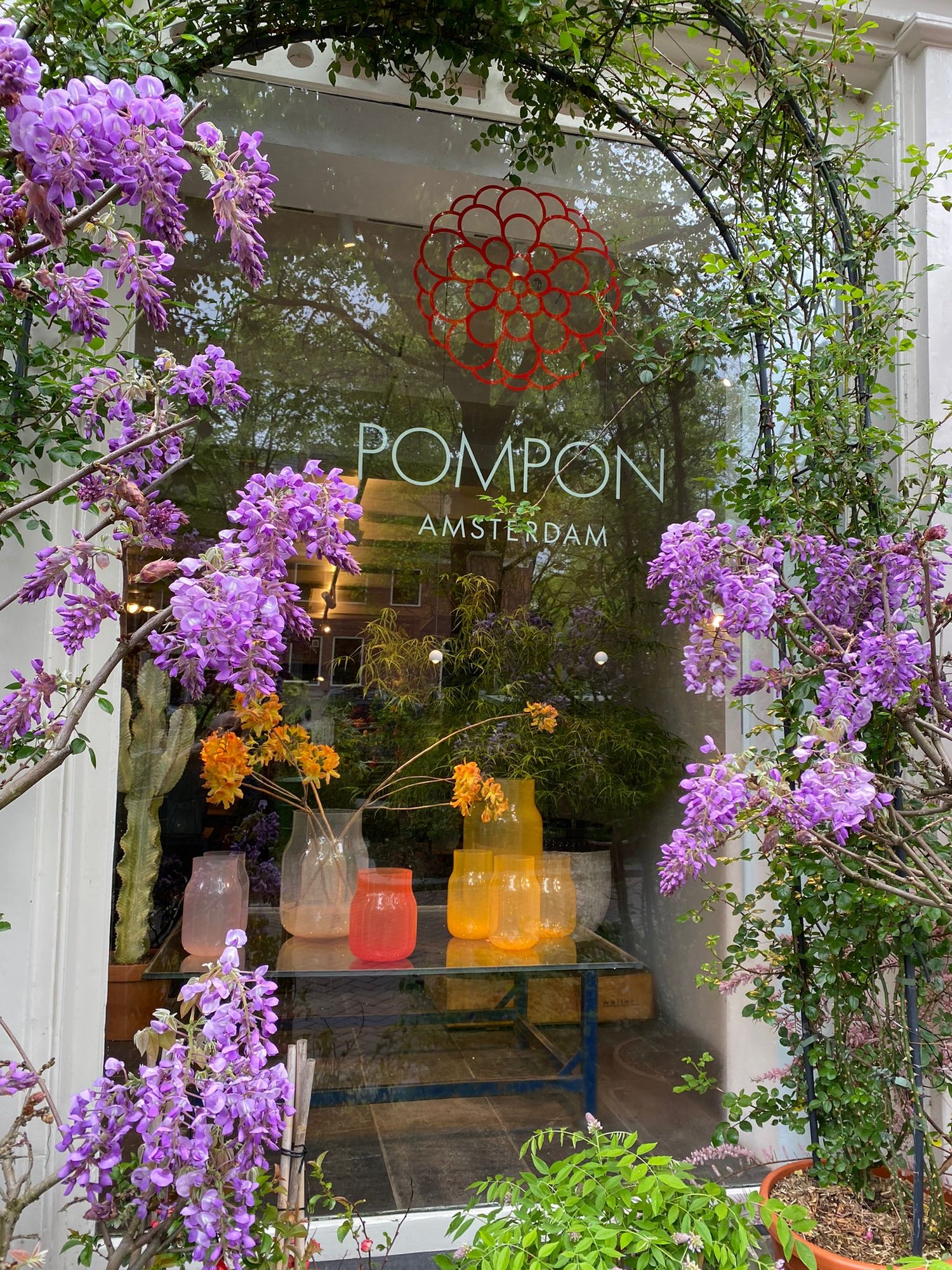 Pompon