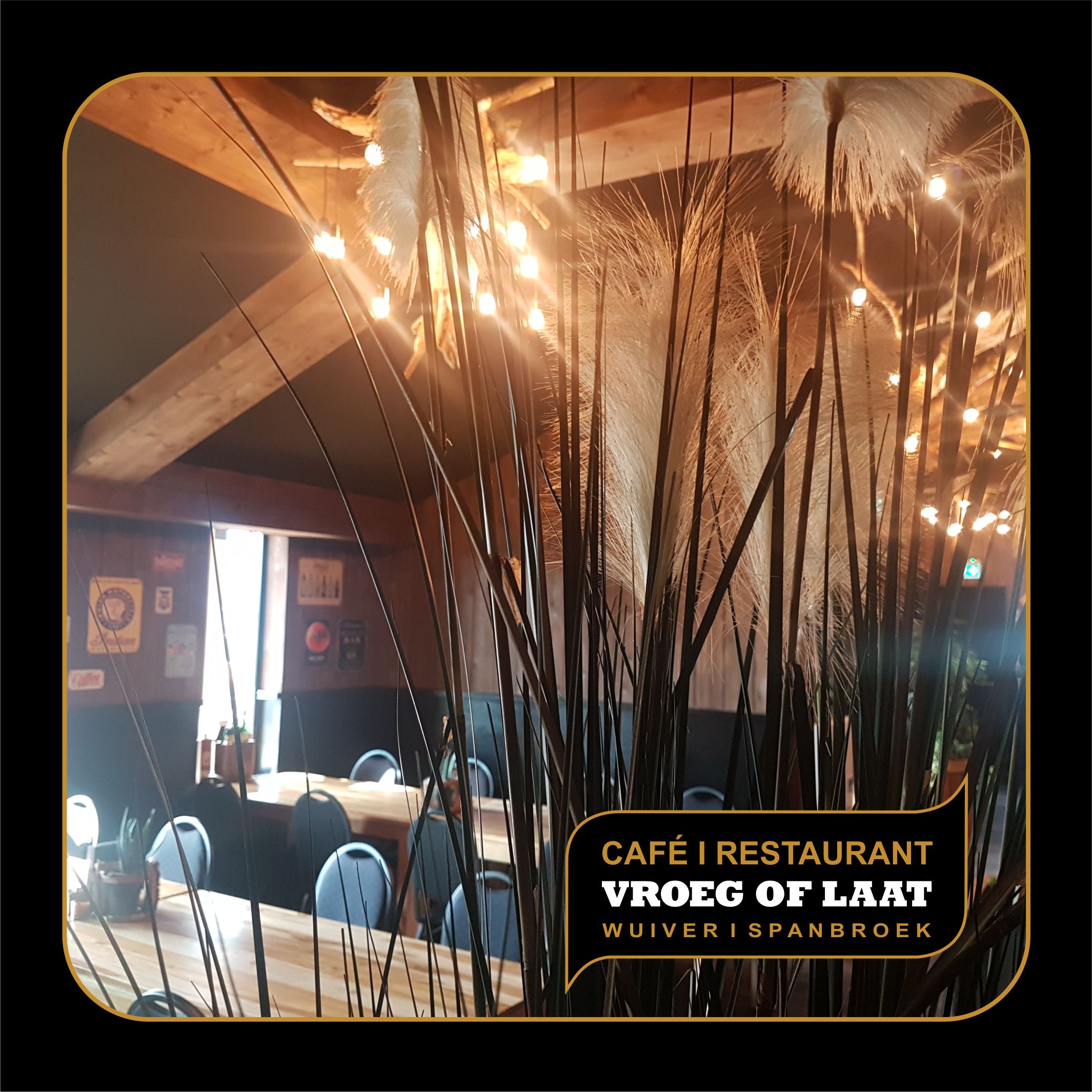 Cafe Vroeg of Laat / Club Vol — photo 3