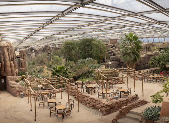 Burgers' Zoo — photo 2