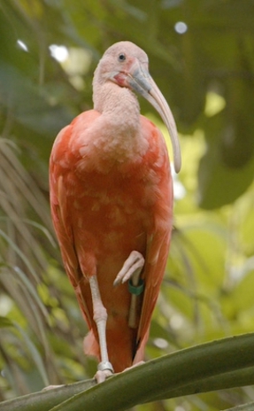 Burgers' Zoo — photo 5