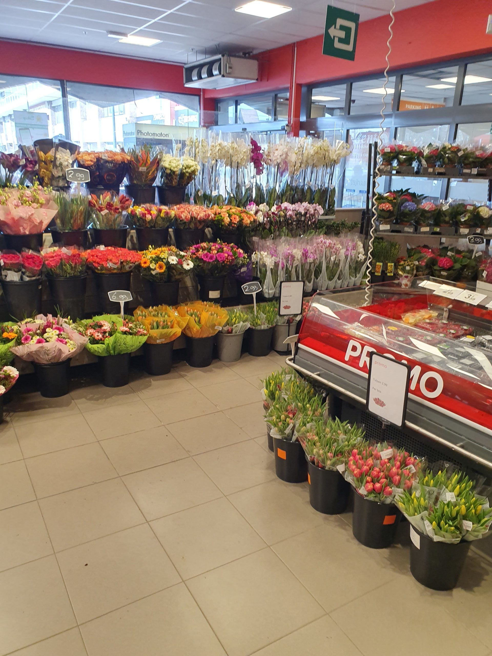 Auperlé Bloemen — photo 5
