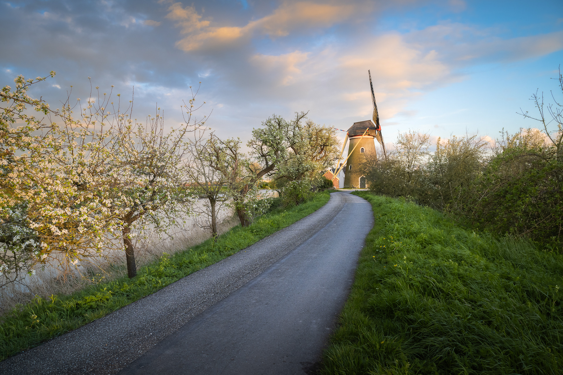 Max Burgemeister Fotografie — photo 2