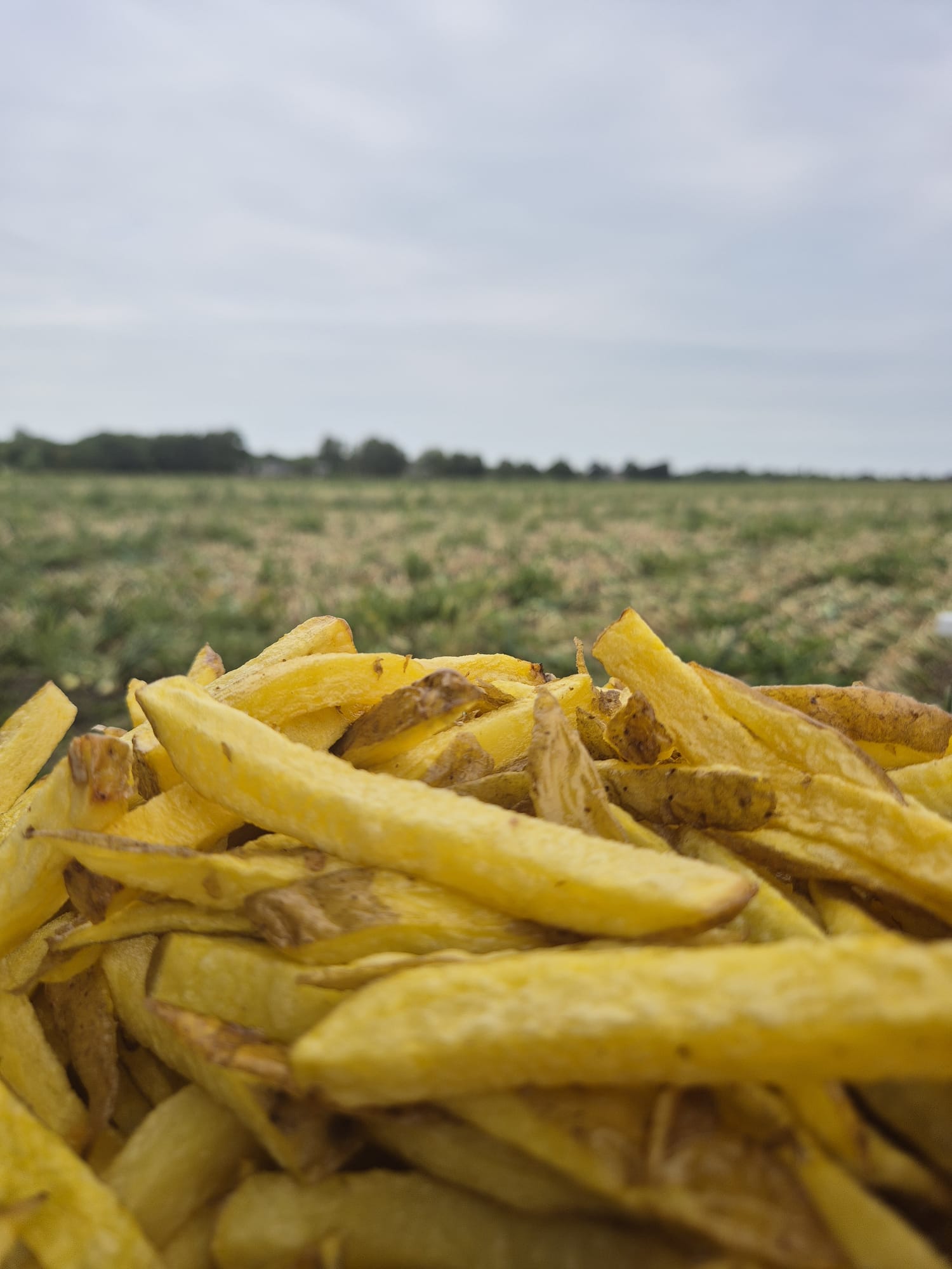 Wat de pot schaft — foto 2