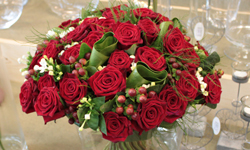 de Kroon flowers — photo 2