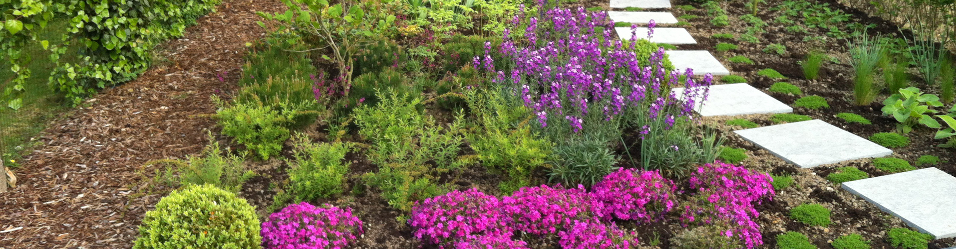 de Kroon flowers — photo 4