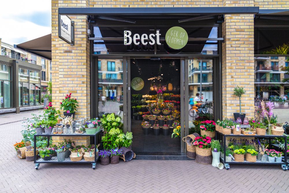 Van Beest Bloemen en Planten — photo 2