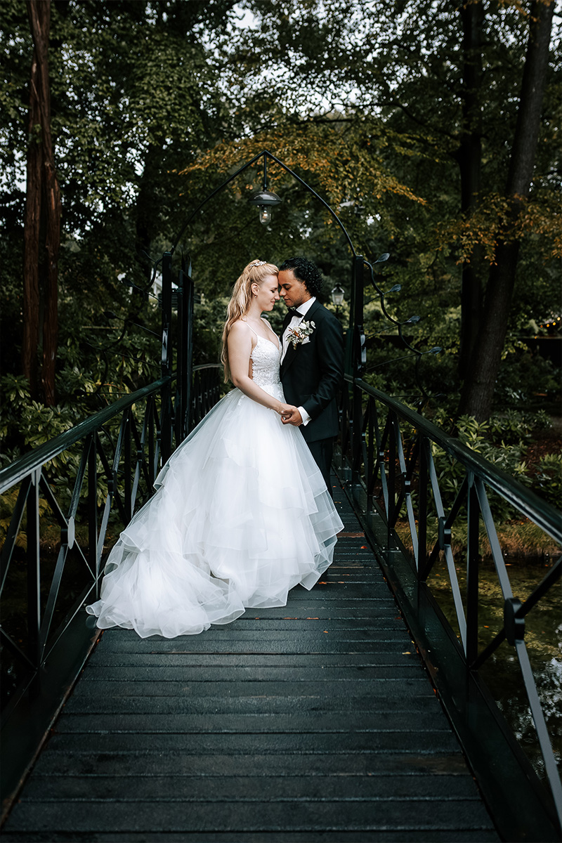 Rachel van Marwijk Photography — photo 4
