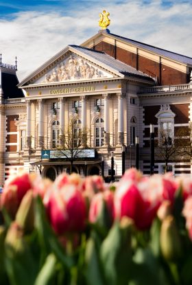 Het Koninklijk Concertgebouw — photo 2