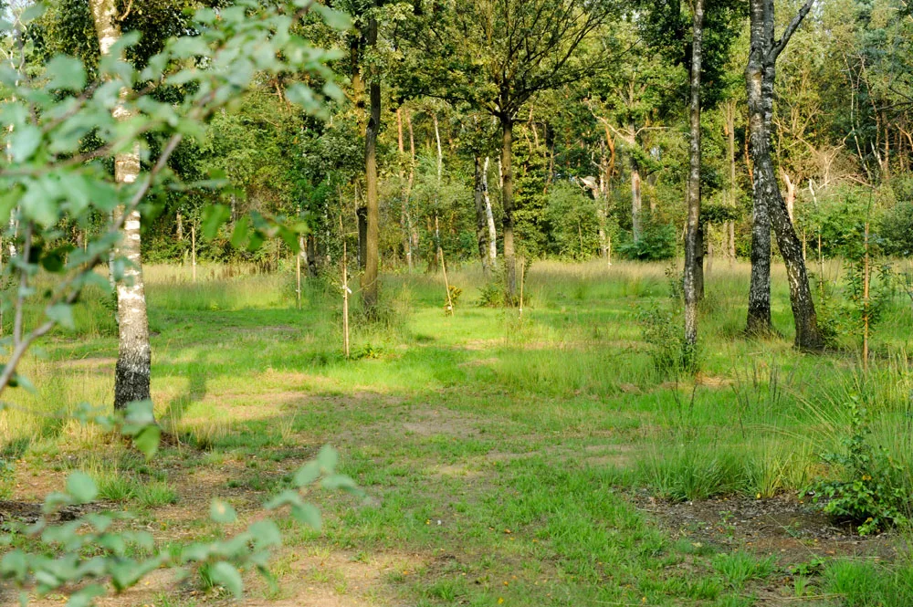 Voedselbos Kattenbergsebroek — photo 3