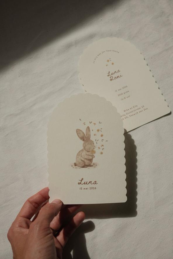 De kaartjes van Will — photo 2