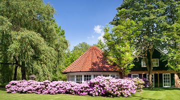 Parkhotel de Wiemsel — photo 3