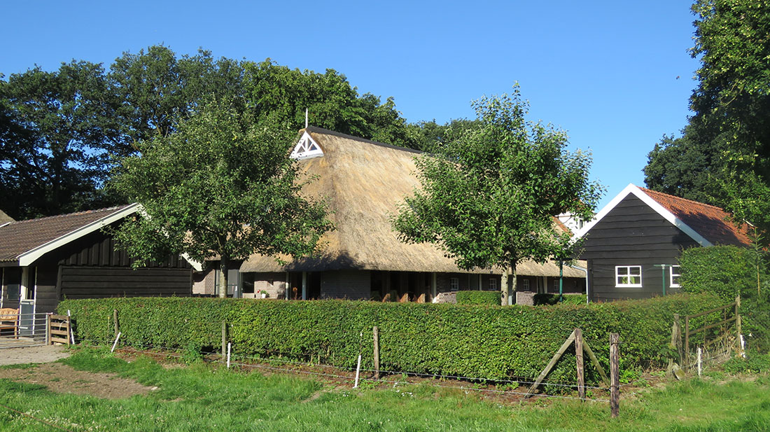 Familie- Accommodatie Oldendieverhof — photo 4