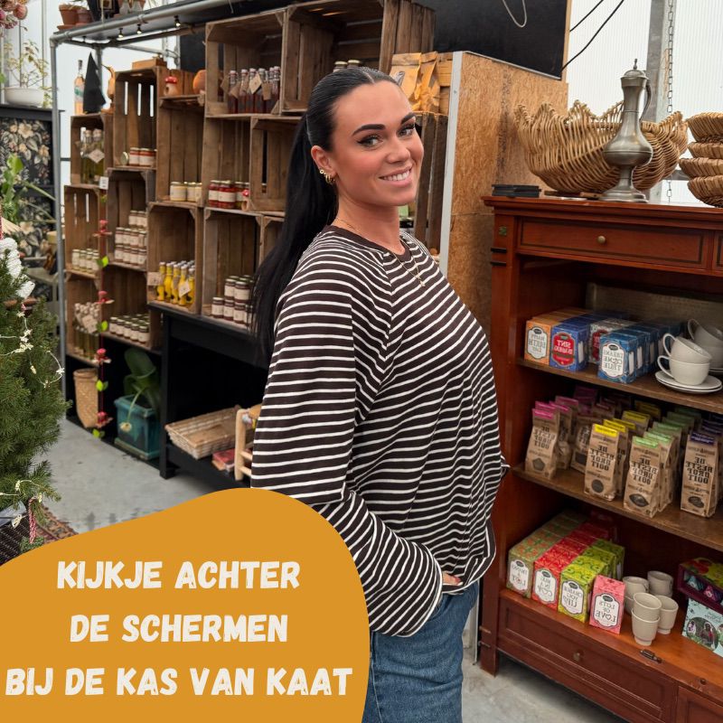 De Kas van Kaat — photo 4