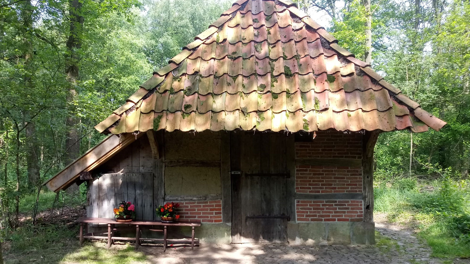 Jan Wesselinkhoes — photo 3