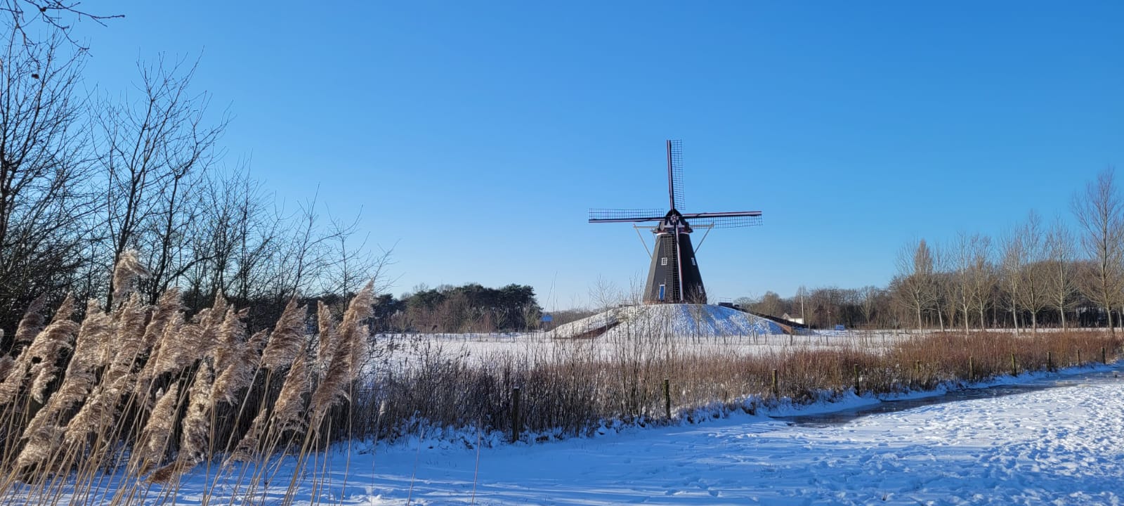 De Vinkelse Molen — photo 2