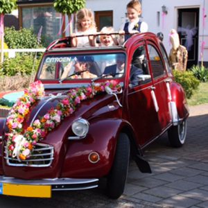 't Bloemenhuus Elspeet — photo 4
