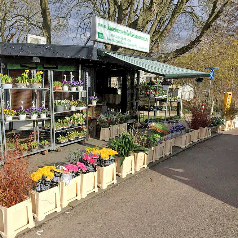 Bloemenwinkel Den Hommel — photo 2