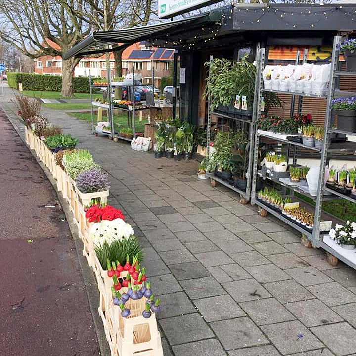 Bloemenwinkel Den Hommel — photo 3