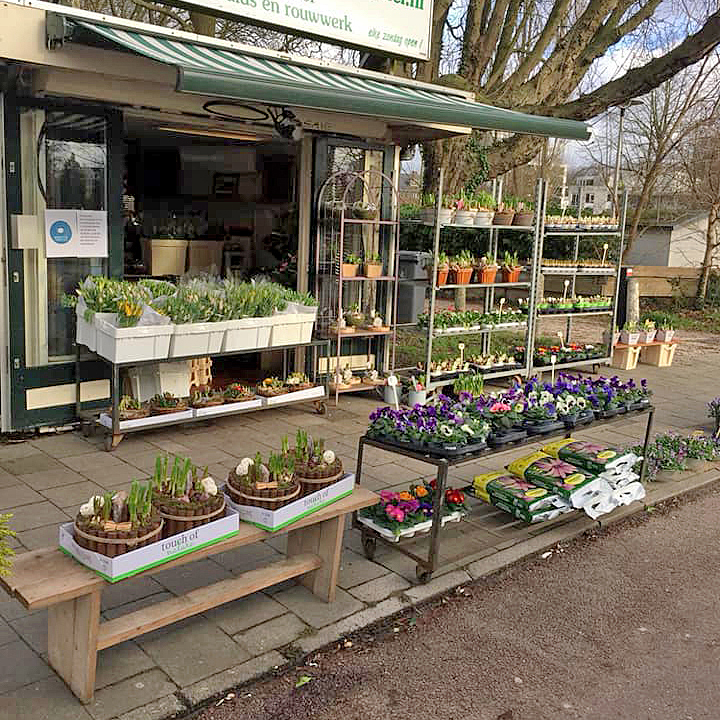 Bloemenwinkel Den Hommel — photo 4