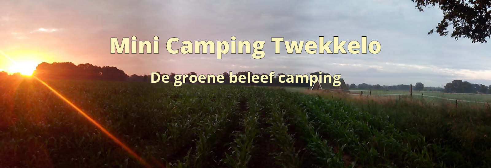 Mini camping Twekkelo — photo 3