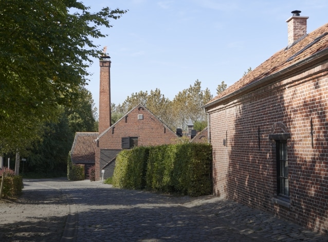 Eenhoorn — photo 5